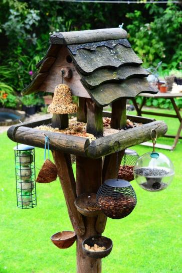 image treewoodflowerperchbackyardgarden938020pxherecom.jpg (0.2MB)